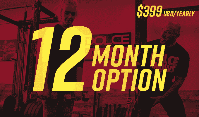 12 month program